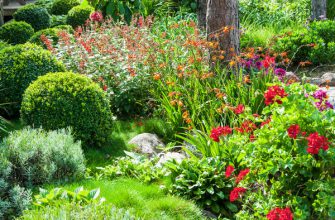 6 характеров садовых цветов — зачем нам нужно их знать