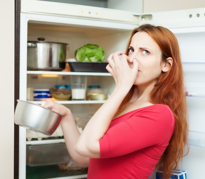 Почему горячую еду можно ставить в холодильник без сомнений