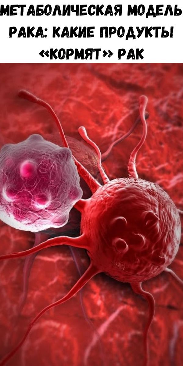 Метаболическая модель рака: Какие продукты «кормят» рак