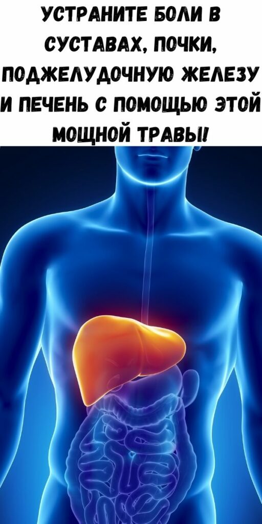 Факторы вызывающие повышение мочевой кислоты. Почки суставы. Остеохондроз у пожилых людей. Почки суставы. Боль в колене.