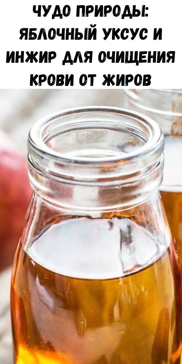 Пить уксус с медом. Рецепт исцеления. Яблочный уксус от суставов. Яблочный уксус для очищения сосудов. Яблочный уксус для суставов компресс.